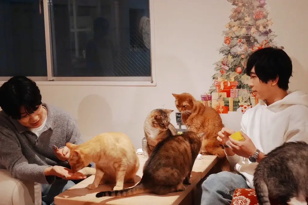 声優・中島ヨシキ＆西山宏太朗、猫だけのライブ配信アプリ「nekochan」で“猫尽くしの生配信”を実施！ 画像 5