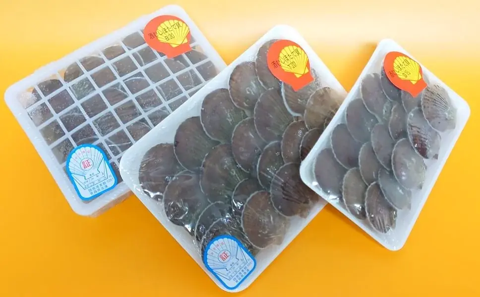 世界が求める“日本の海の恵み” ― 水産物輸出の最前線が幕張メッセに集結 画像 2