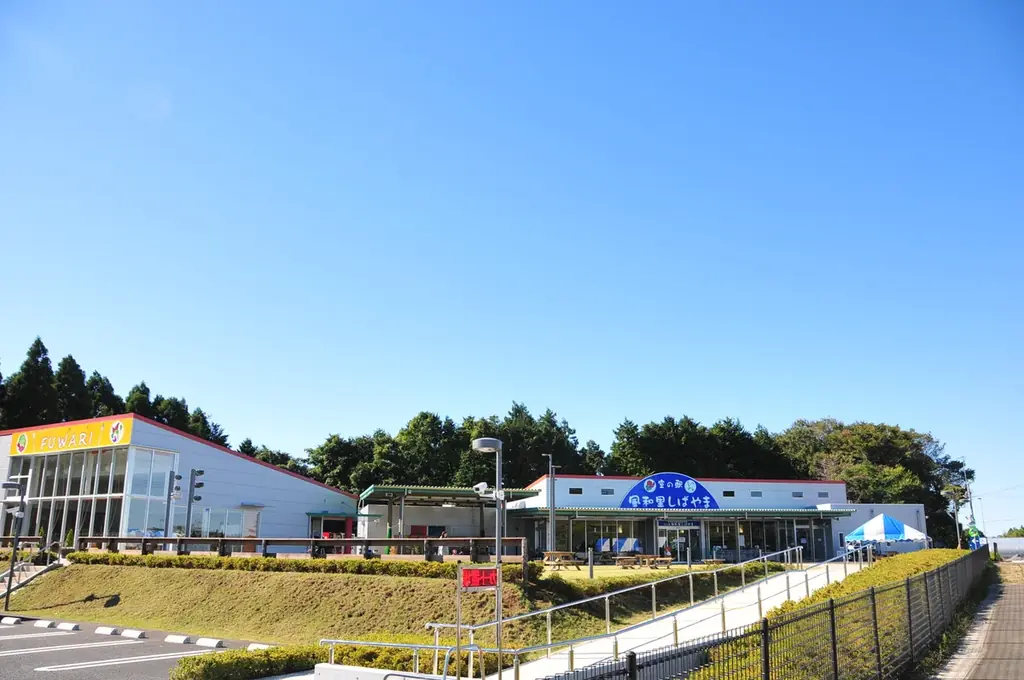 【千葉県・家族や友人で冬のお出かけ】芝山町制施行70周年記念 クリスマスコンサートを12月21日、芝山文化センターにて開催！＜入場無料・年齢制限なし＞ 画像 5