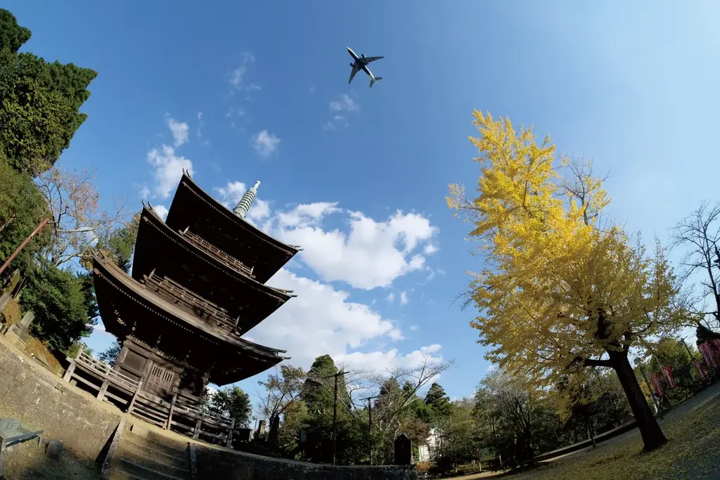 【千葉県・家族や友人で冬のお出かけ】芝山町制施行70周年記念 クリスマスコンサートを12月21日、芝山文化センターにて開催！＜入場無料・年齢制限なし＞ 画像 6