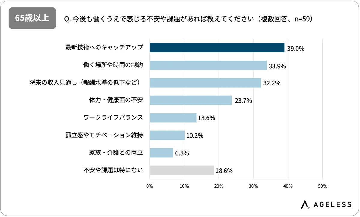 ミドル・シニアIT人材が抱える「働く上での不安」、「収入見通しの低下」が4割超。49歳以下は “健康面” 、65歳以上は “最新技術のキャッチアップ” が最大の懸念に 画像 4