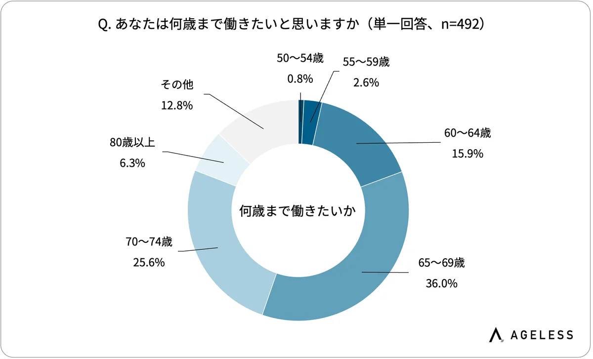 ミドル・シニアIT人材が抱える「働く上での不安」、「収入見通しの低下」が4割超。49歳以下は “健康面” 、65歳以上は “最新技術のキャッチアップ” が最大の懸念に 画像 5