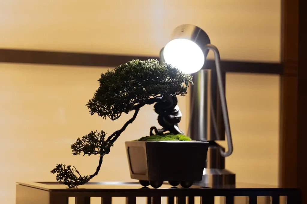 Tokyo Weekender55周年、“多様性と文化の継承”を祝うチャリティガラ開催。写真家Leslie Keeが授与する日本文化を牽引する16名の「TW Icon」を表彰 画像 16