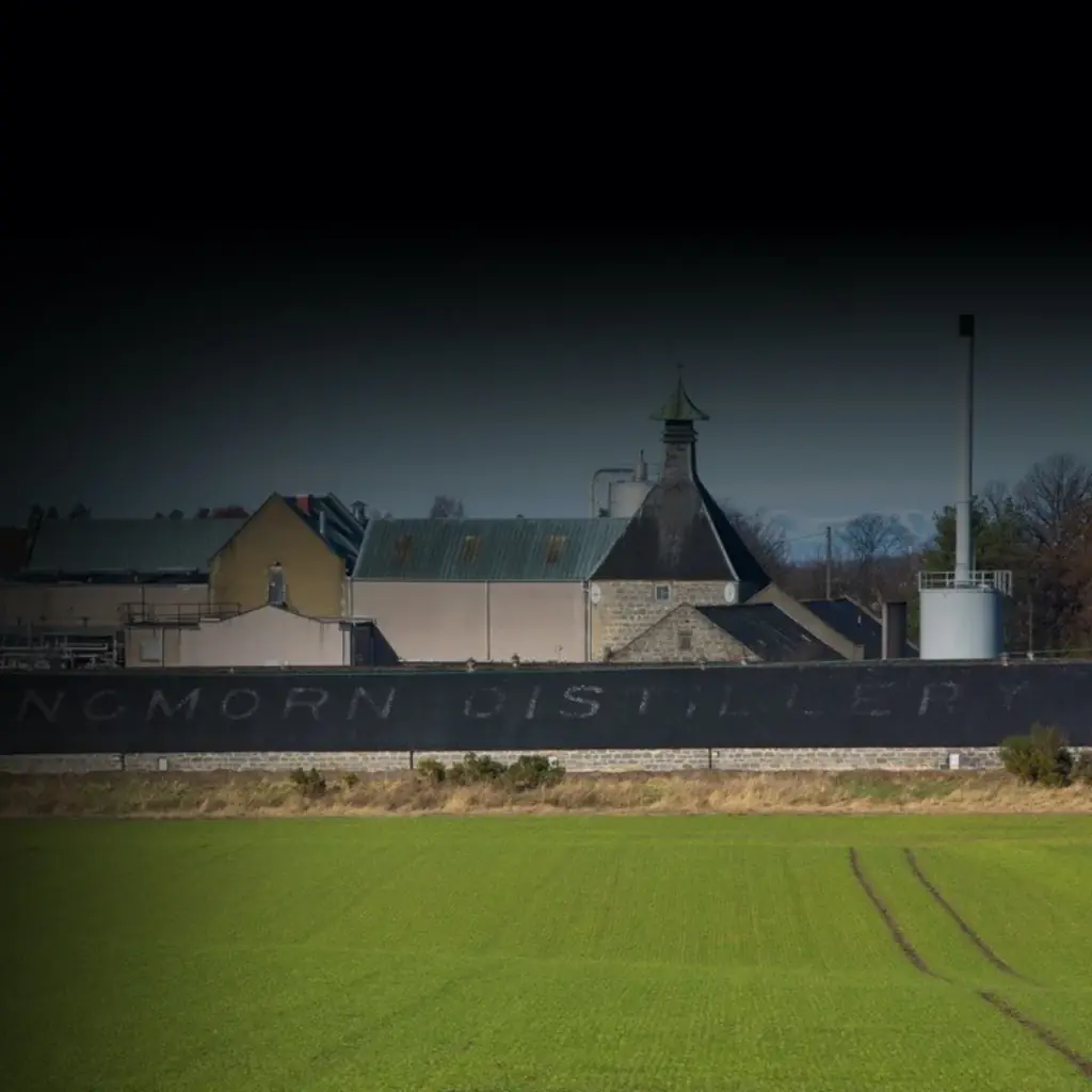 【予約開始】ゴードン＆マクファイル、“衝撃の黒”ラベルの復刻版。 画像 5