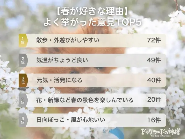 【飼い主300人に調査】犬の好きな季節、約半数が●を選択！愛犬のウキウキエピソードに共感の嵐！ 画像 4