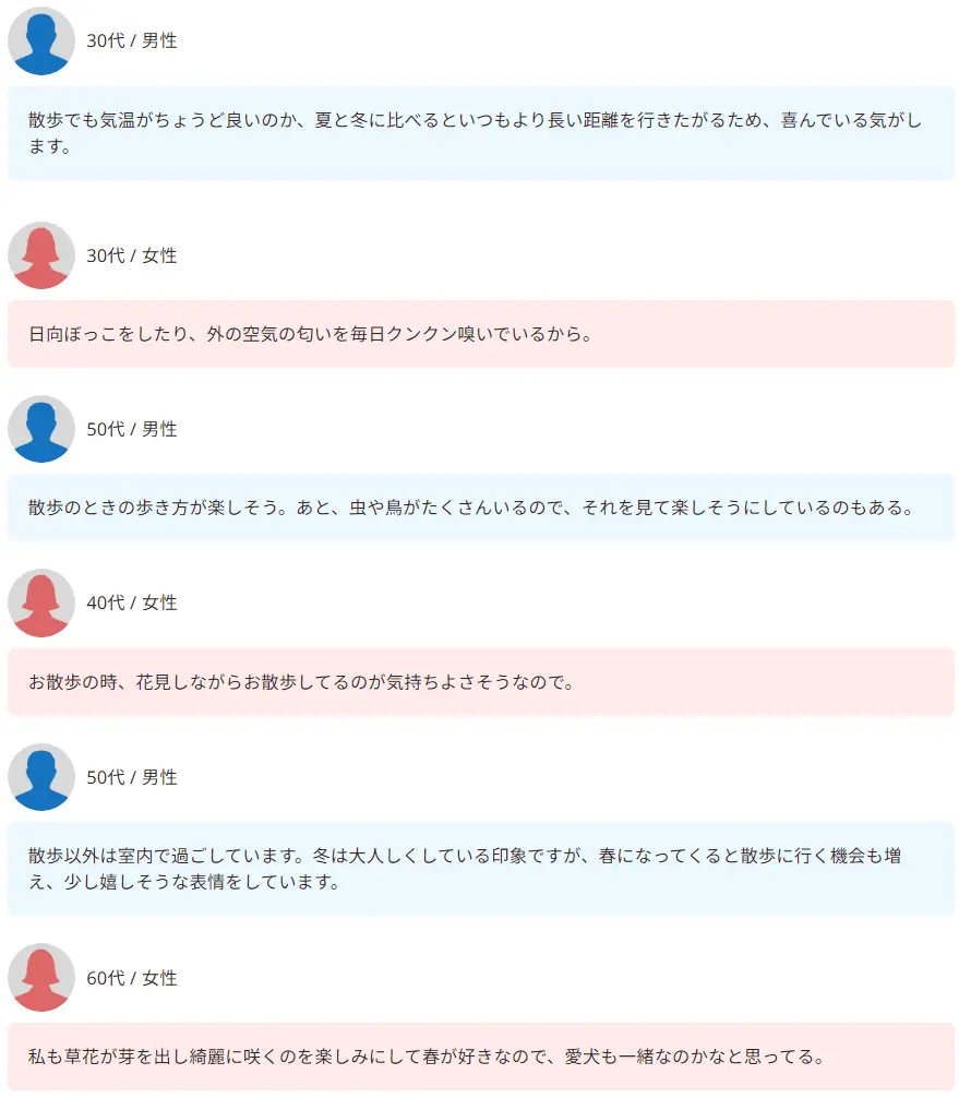 【飼い主300人に調査】犬の好きな季節、約半数が●を選択！愛犬のウキウキエピソードに共感の嵐！ 画像 5