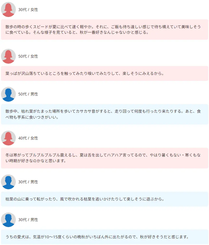 【飼い主300人に調査】犬の好きな季節、約半数が●を選択！愛犬のウキウキエピソードに共感の嵐！ 画像 7