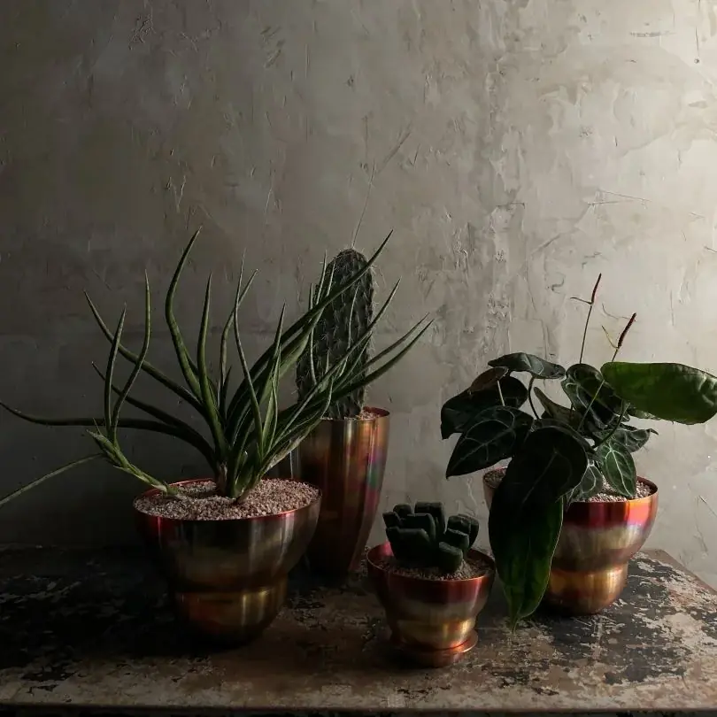 【奈良 蔦屋書店】古きよき時代の食器やインテリア雑貨、ウエアなどが集まる「奈良 蚤の市」を12/6(土)、7(日)に開催 画像 8