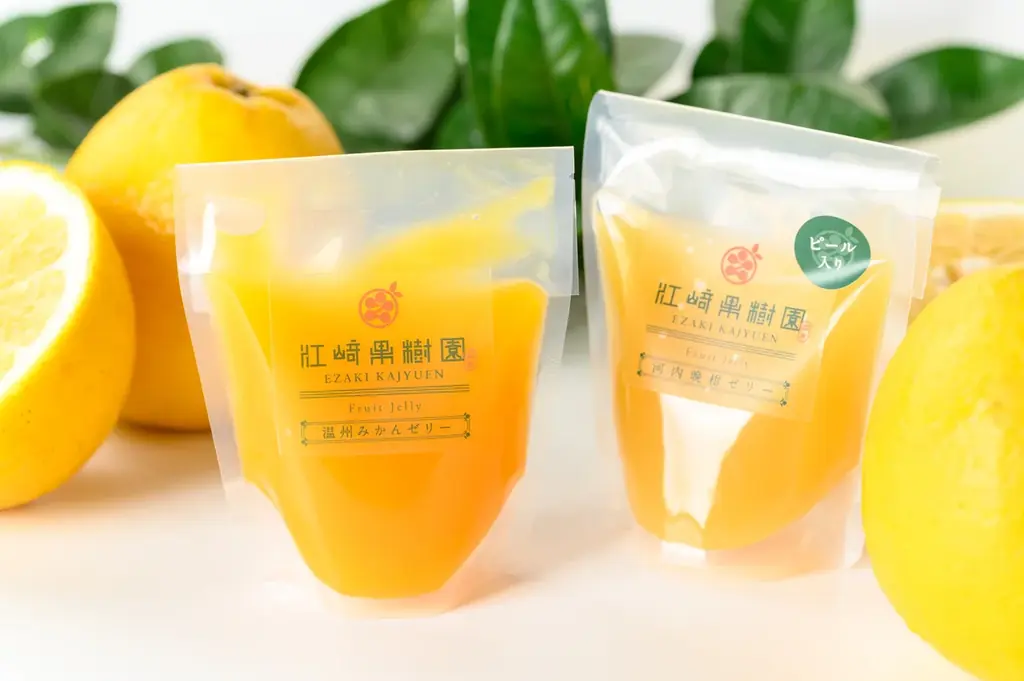 【期間限定】クリスマスギフト特集ページ公開！ 鹿児島県出水市のふるさと納税に登場 画像 6