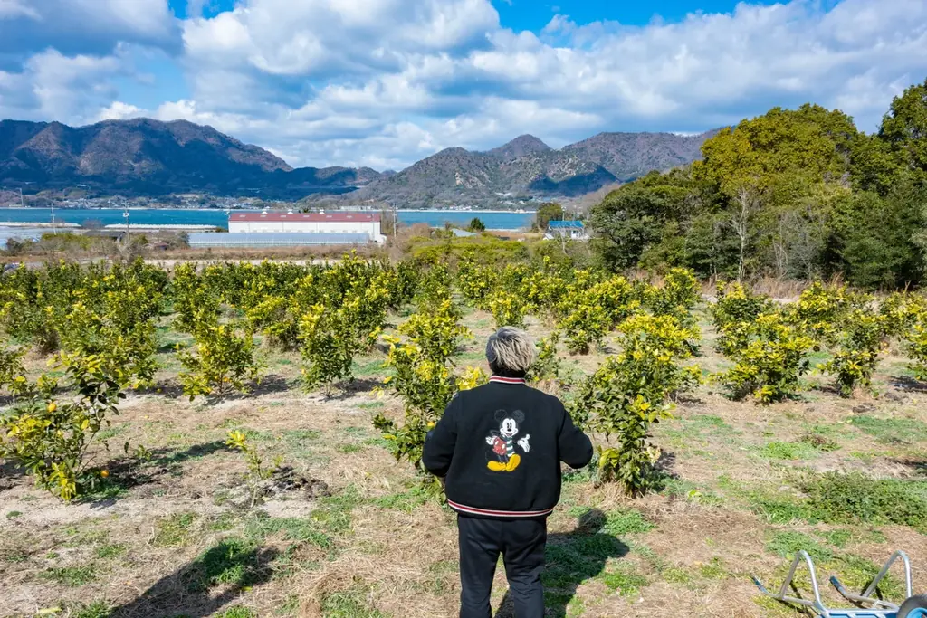 【数量限定！売切れ御免！】6秒に1個売れる”幻のレモンケーキ”『パール洋菓子店 自由が丘』から初穫れ「パールの完熟レモン」を期間限定販売！ 画像 3