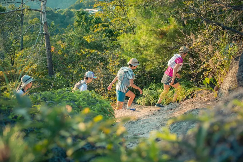 100kmの都市隣接登山道を走るトレイルランニングレース「HIROSHIMA TRAIL 2026」初開催決定！ 画像 7