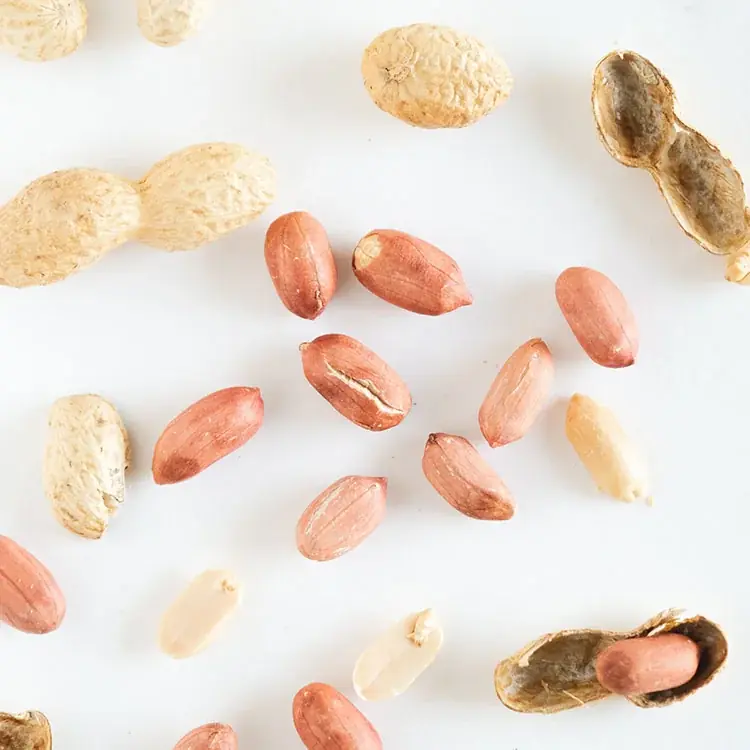 1年でいちばん美味しい瞬間を閉じ込めた『2025年の新豆をお届け！千葉県産早生種落花生』をスナックミーオンラインストアで期間限定発売 画像 2