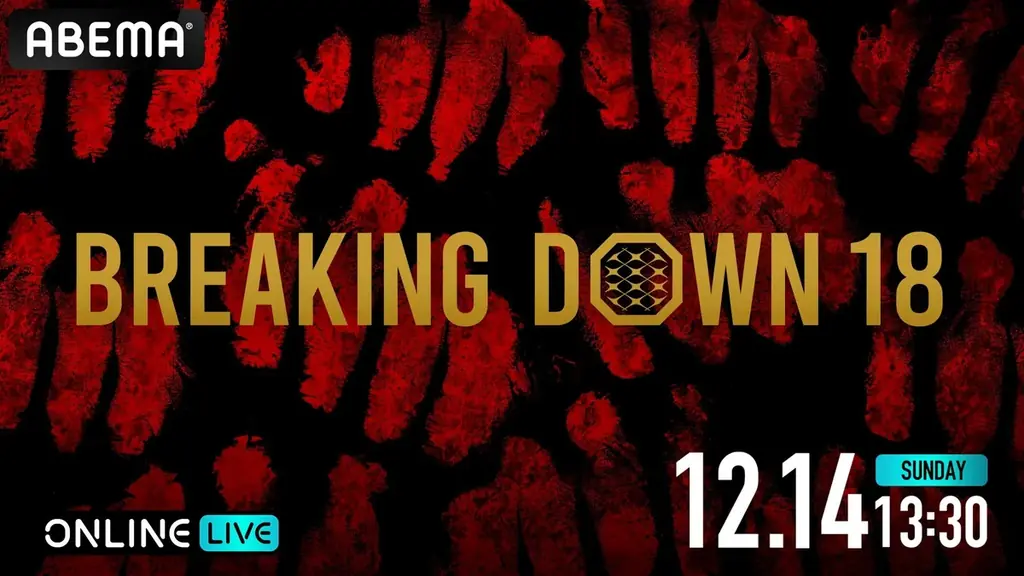 12月14日開催 朝倉未来のBreakingDown18を生中継