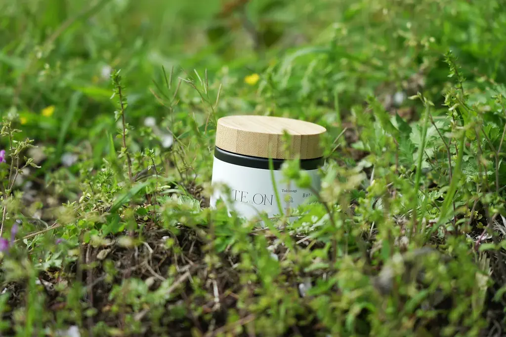 te.onポップアップ梅田