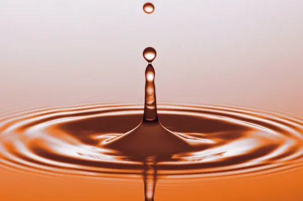 揚げたて天ぷらの「あげてんや」12月1日（月）より「冬の贅沢」フェアを開始いたします 画像 16