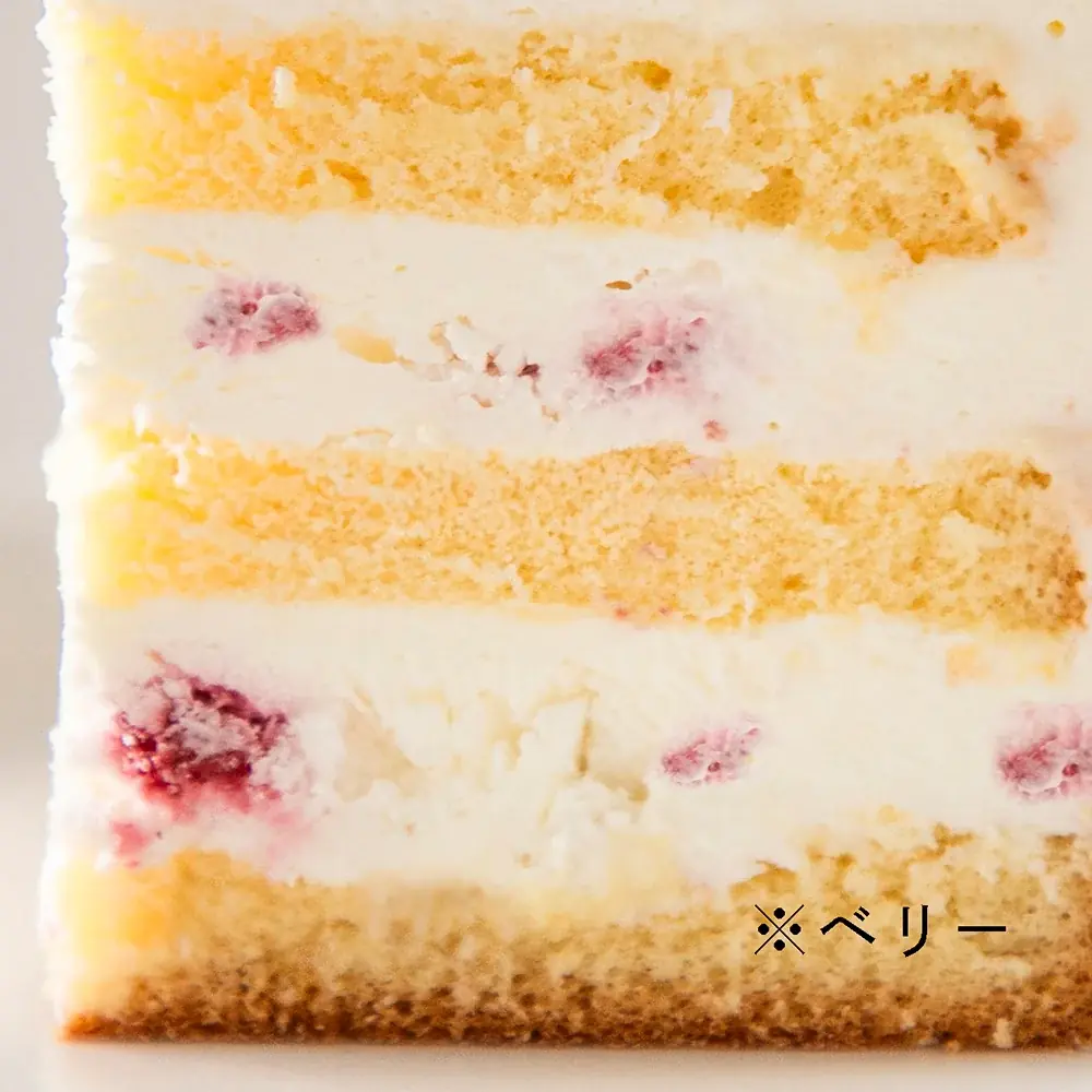 【お子さまと手作りで楽しむクリスマス】～世界にひとつのオリジナルケーキが作れる～結婚式場専属パティシエ監修“DIYケーキ”販売開始 画像 7