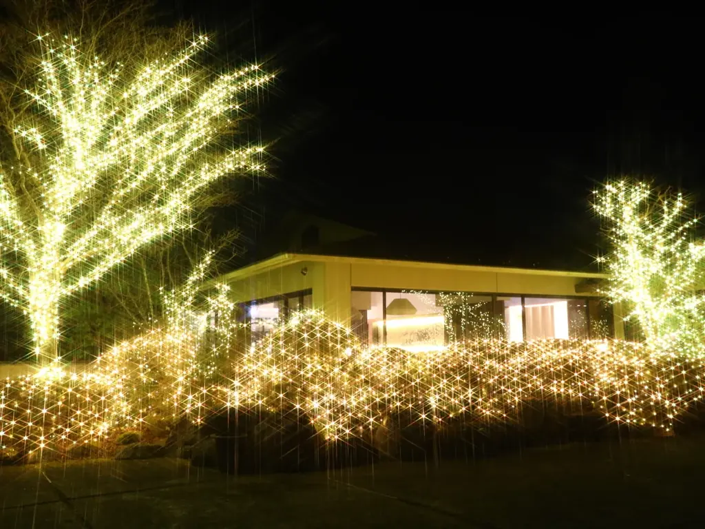 【12月～3月限定】静寂な仙石原に眩いシャンパンゴールドの光で奏でる『ウィンターイルミネーション』プラン 画像 2