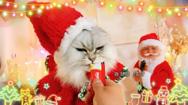 いなばペットフード　全国の猫ちゃんが登場！「ちゅ～る」クリスマスTVCM動画を公開 画像 9