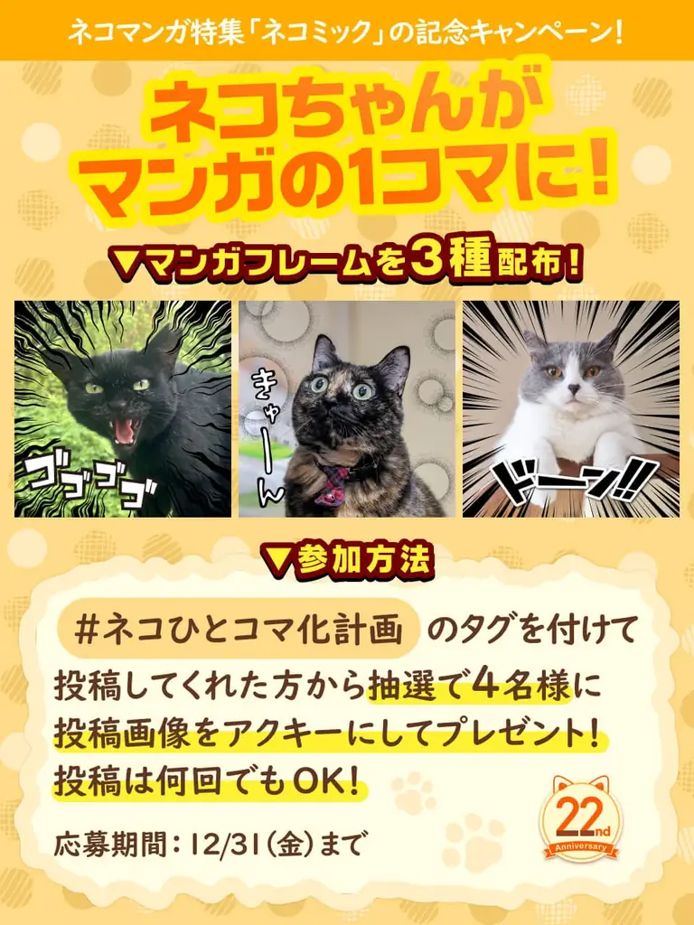 総合電子書籍ストア「ブックライブ」、電子コミック配信事業22周年記念キャンペーンを開催 画像 5