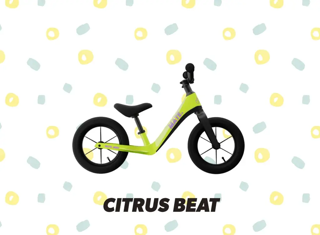 【MATE.BIKE】SPECIAL HOLIDAY BUNDLE｜グローバルホリデーキャンペーンを開催 画像 8