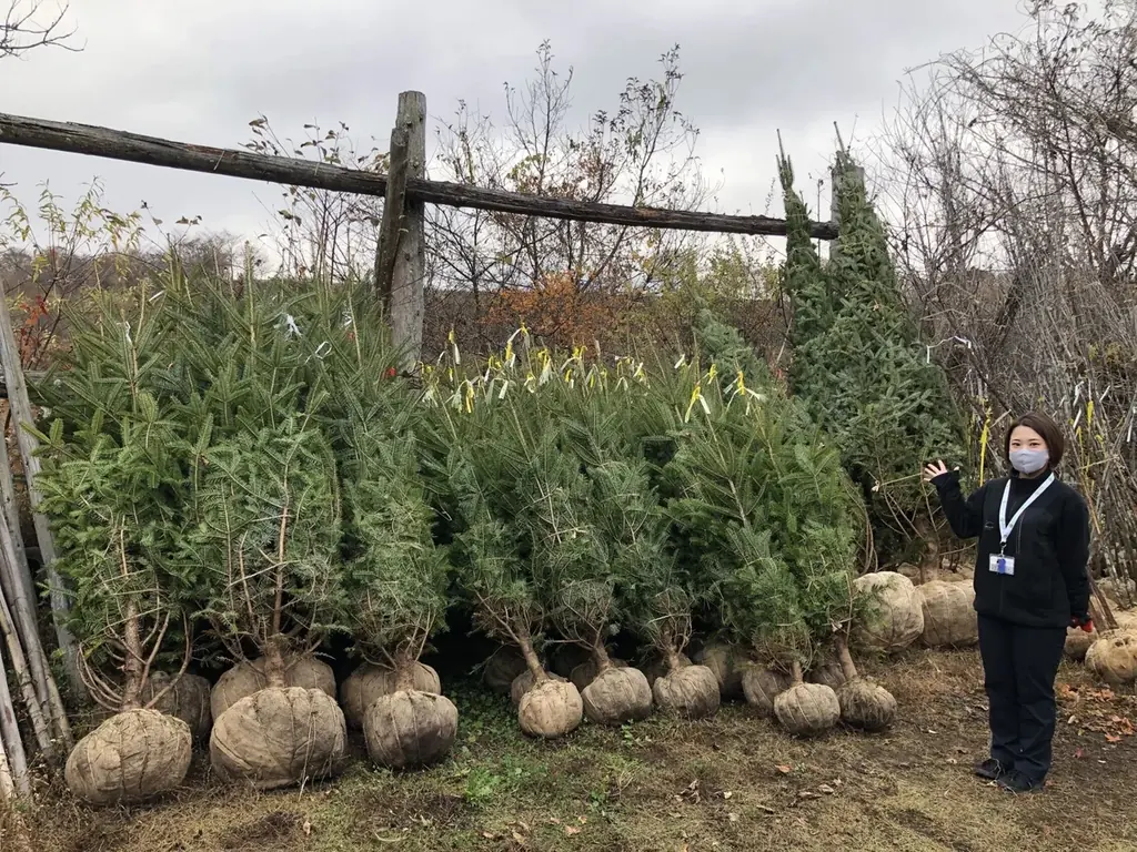 再エネ100％電力のサステナブルなクリスマスツリーも登場。日比谷花壇 日比谷公園本店で極上のバラとペーパーアートが織りなす「ローズ・ノエル」インスタレーションが12月1日から開催。 画像 15