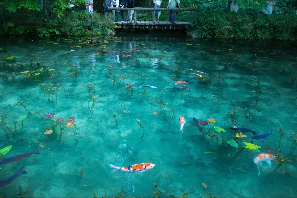 【岐阜県関市ふるさと納税】関市の特産品「ほらどキウイ」をモチーフにしたつまみ細工のブローチが登場！ 画像 14