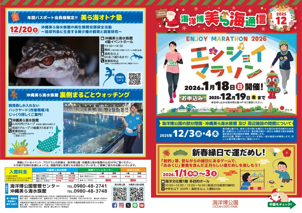 美ら海通信12月号発行｜海洋博公園の冬イベント案内