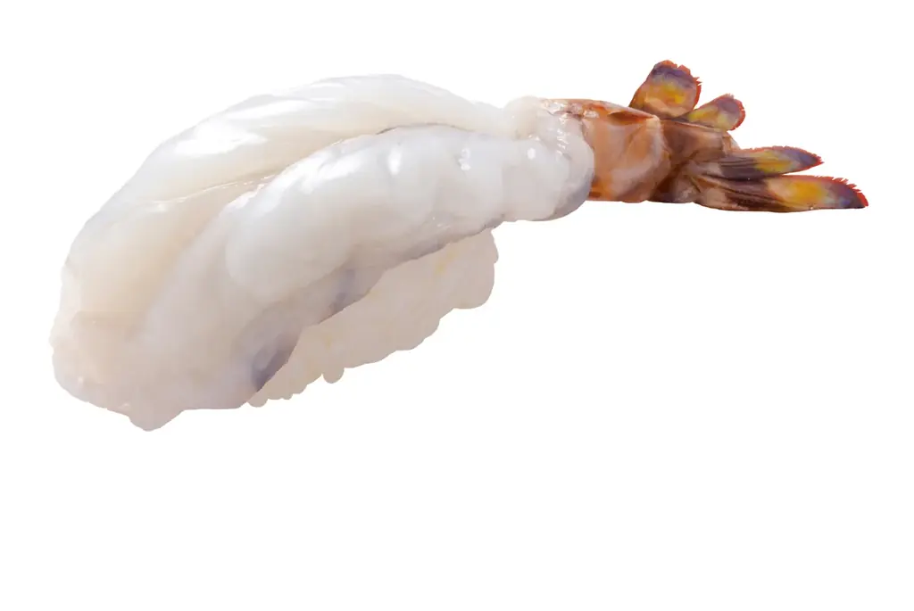 【はま寿司】“中とろ”が今だけ100円（税込110円）！国産真フグも登場！「はま寿司 中とろ100円とふぐ祭り」開催！ 画像 9