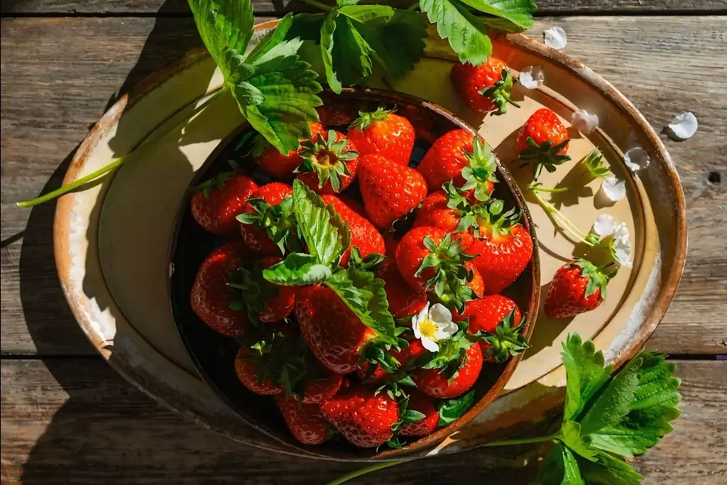 1月1日開業　IZU ARTH FARMで3種いちごの滞在体験