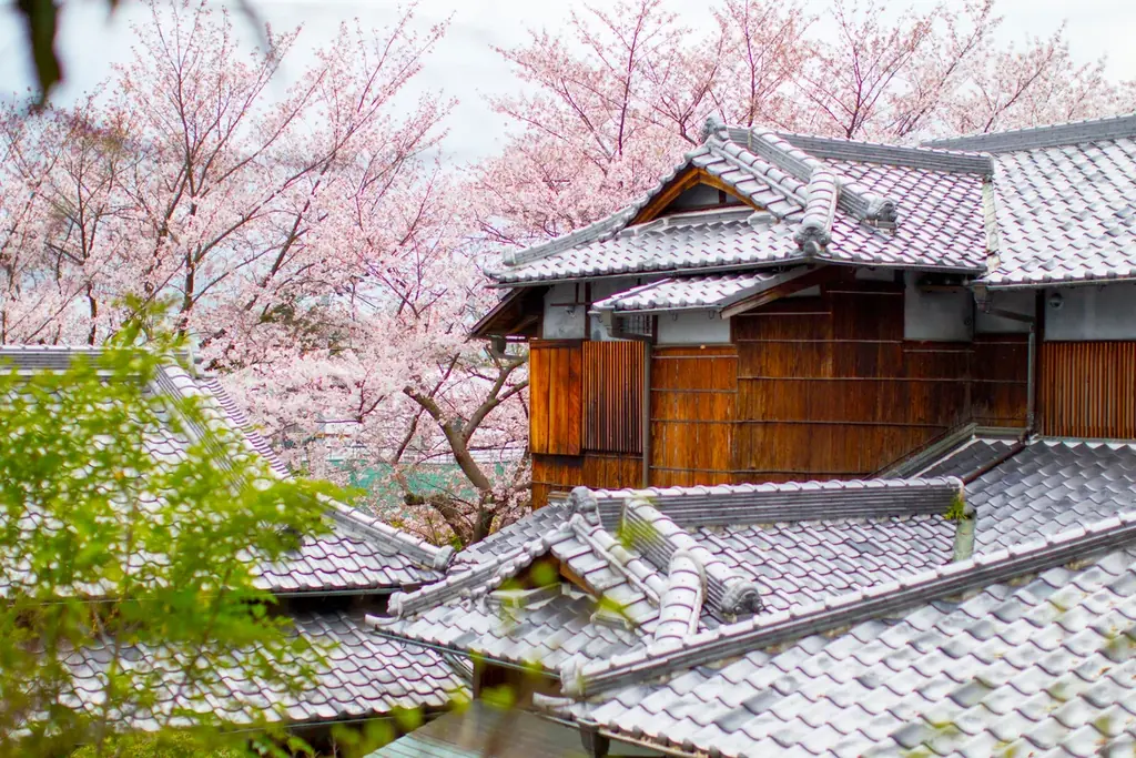 神戸・北野の歴史を紡ぐ日本建築「北野異人館 旧ハンター邸」、2026年5月1日よりバリューマネジメントが新たな結婚式場として運営開始 画像 2