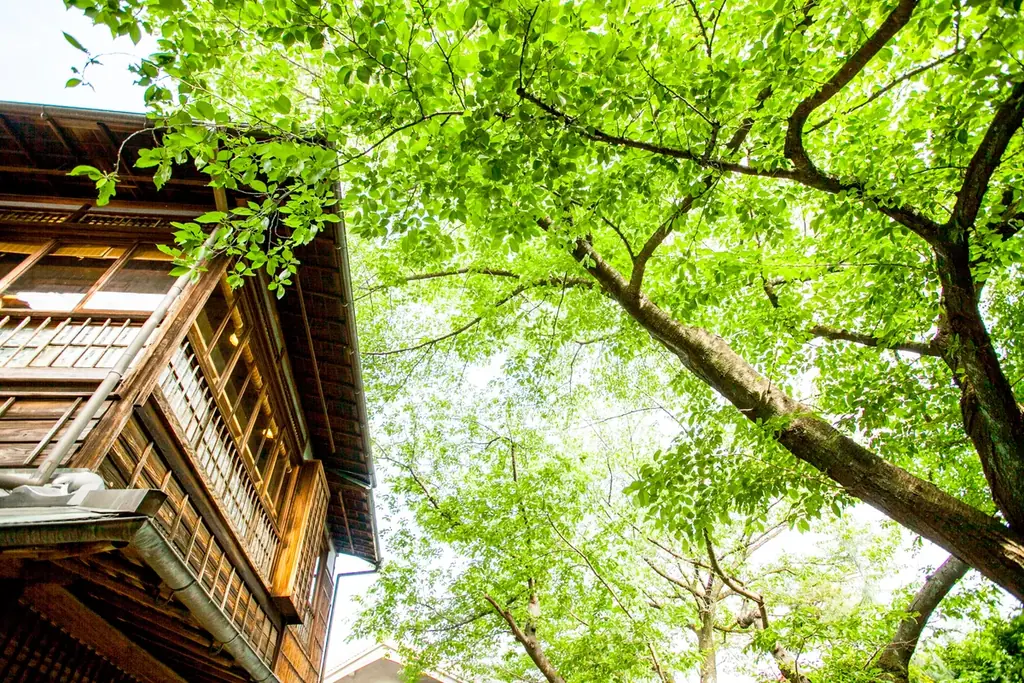 神戸・北野の歴史を紡ぐ日本建築「北野異人館 旧ハンター邸」、2026年5月1日よりバリューマネジメントが新たな結婚式場として運営開始 画像 3