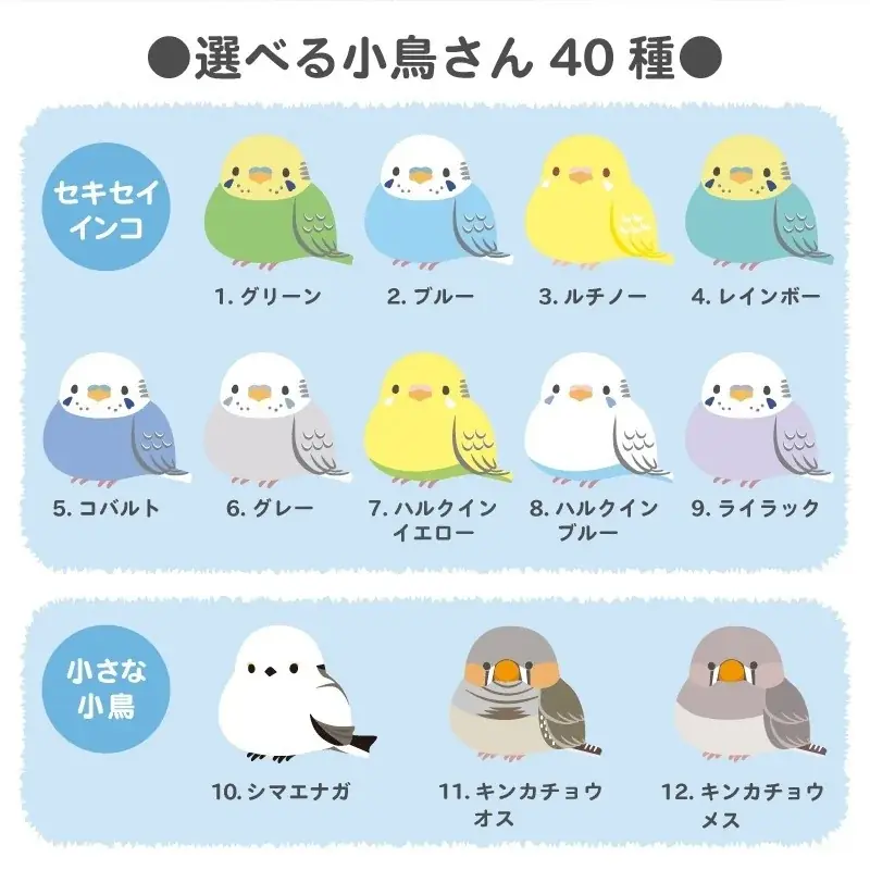 【名入れギフト ギフトヤ】この子に決めたっ！当店で大人気の”ぽてっと小鳥さん”シリーズが楽天スーパーセール期間中ポイント10倍！ 画像 2