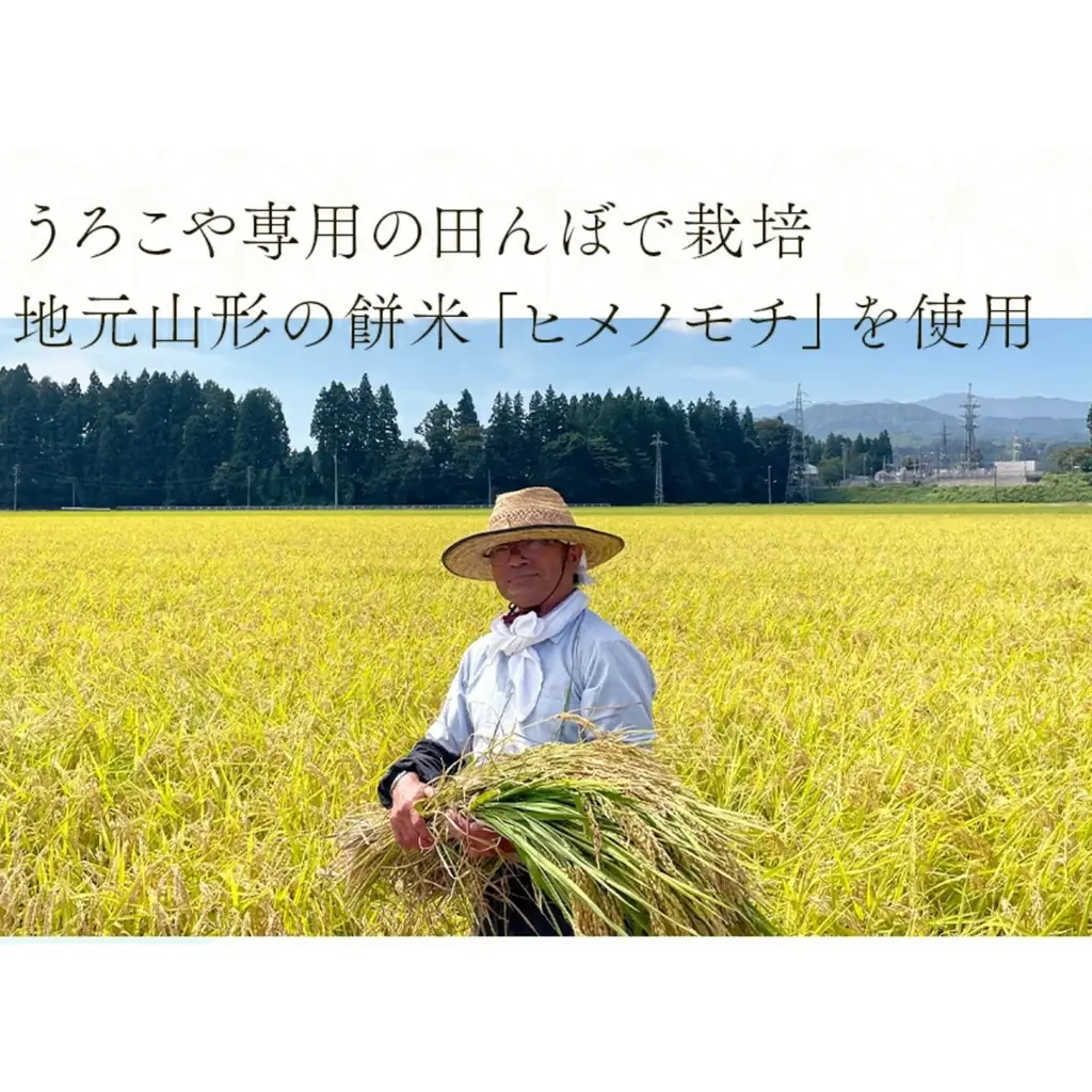 【山形・創業340年の老舗菓子店】うろこや総本店、郷土菓子「くぢら餅」の文化継承へ。創業の地・大石田町の小中学校にくぢら餅を無償提供し、子どもたちの食文化体験を支援 画像 3