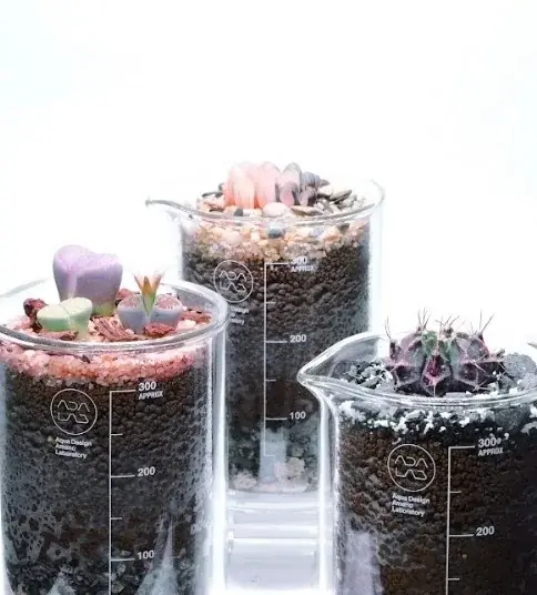 【阪急うめだ本店】今だけ！クリスマス限定コフレやワークショップも。自然環境への配慮やサステナビリティに共感できるクリスマスギフト特集 画像 10