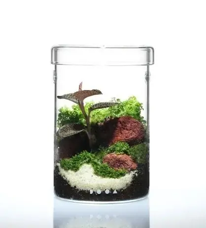 【阪急うめだ本店】今だけ！クリスマス限定コフレやワークショップも。自然環境への配慮やサステナビリティに共感できるクリスマスギフト特集 画像 11