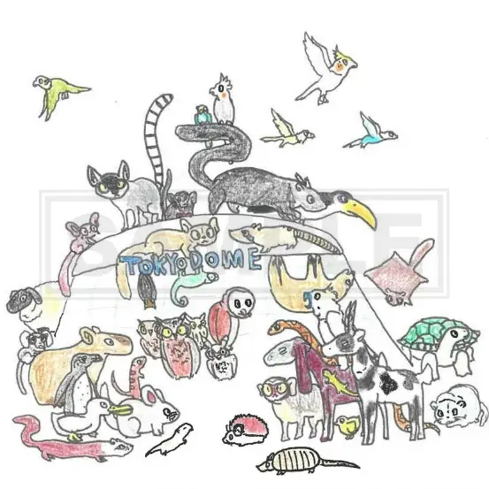 障害者週間に合わせ、障害のあるスタッフによるイラストNFTを“毎日”無料配布　TOKYO DOME MEMORIAL NFT365 × 東京ドームウィズ 特別企画 画像 2