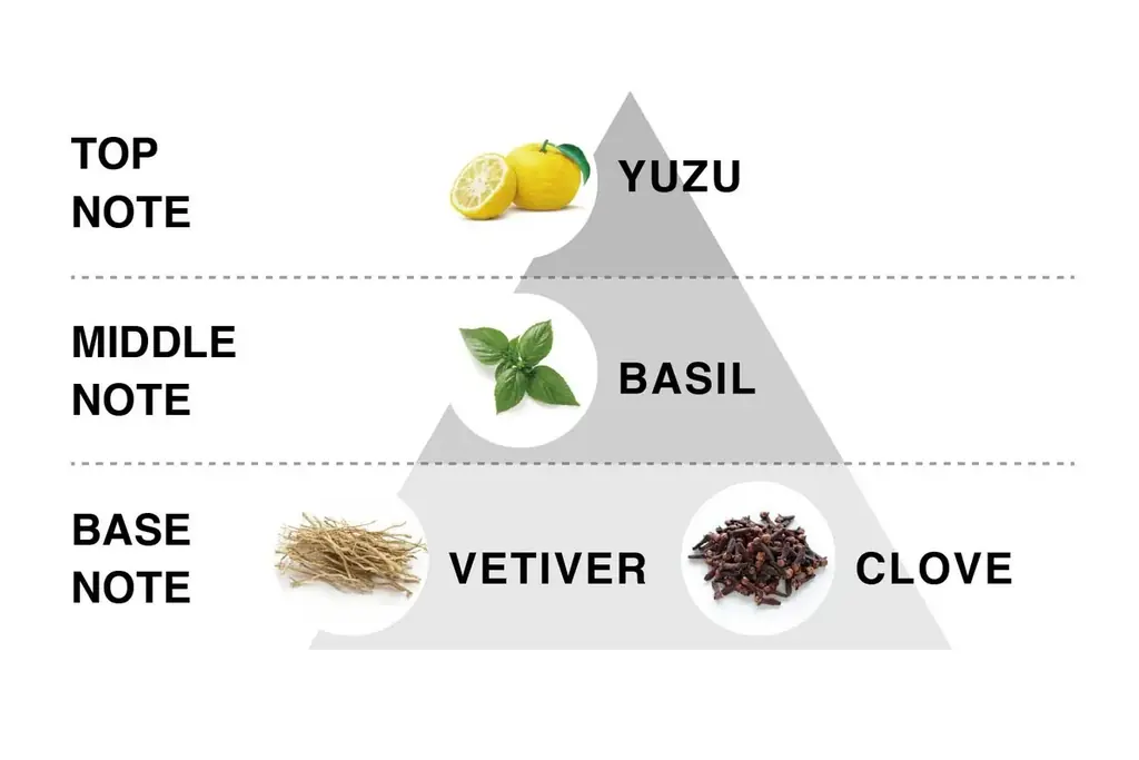 “香りを求めるVOYAGER(航海者）”韓国コスメブランド「VOYAGERbypobam」（ボイジャーバイポバム）日本初上陸！ 画像 5