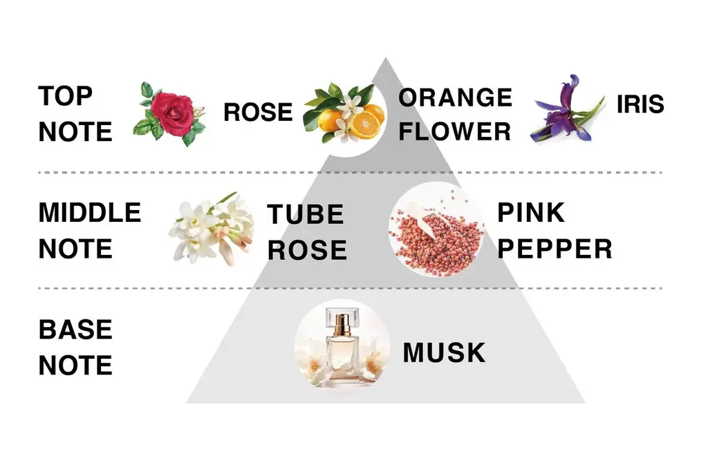 “香りを求めるVOYAGER(航海者）”韓国コスメブランド「VOYAGERbypobam」（ボイジャーバイポバム）日本初上陸！ 画像 6