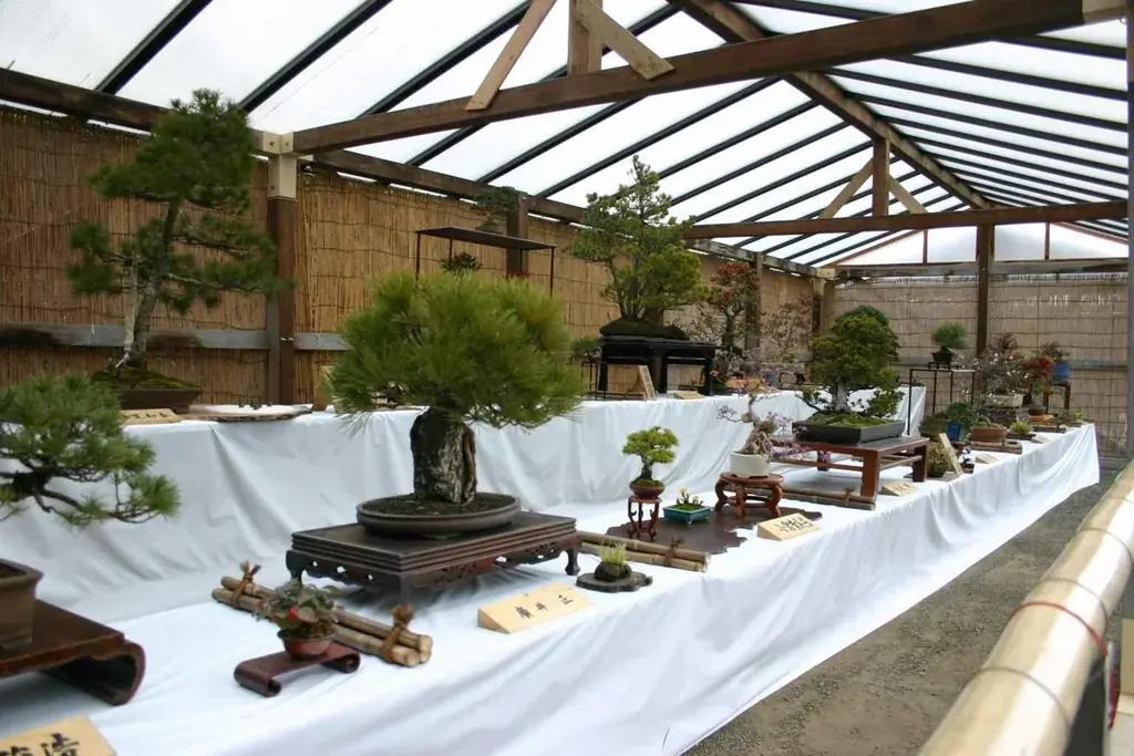 横浜・三溪園　三溪園で過ごすお正月　鶴翔閣公開を開催 画像 6