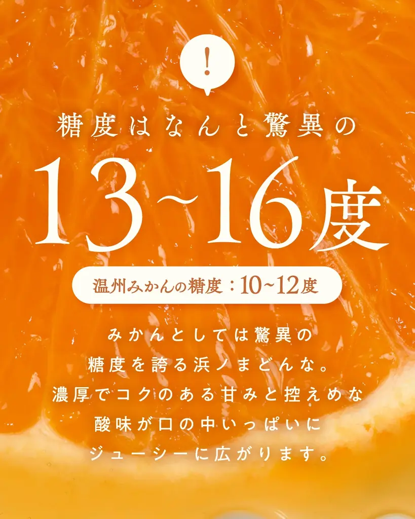【数量限定×特別価格】愛媛の“冬の女王”をサステナブル栽培で育てた最高級柑橘『浜ノまどんな』（別名“紅まどんな”）が産地直送でEC限定販売！ 画像 3