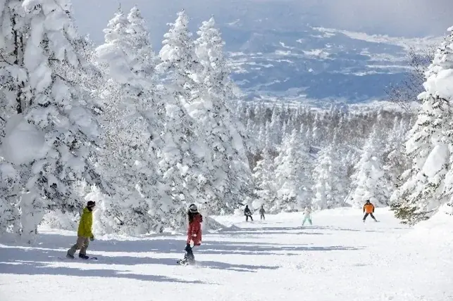 スキー場をHOTにする！　長野県「竜王スキーパーク」にて『辛ラーメン』のコラボメニューを開始！ 画像 7
