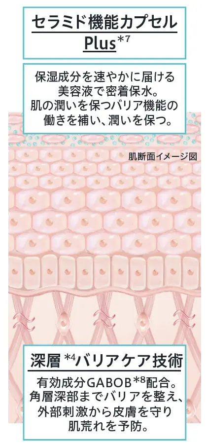 敏感肌化粧品市場No.1*1の「Curél（キュレル）」から、新技術*2を搭載した「角層深部バリア美容液」と「スキンリペアUVセラム」を発売 画像 3