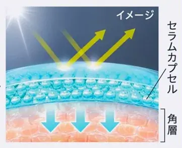 敏感肌化粧品市場No.1*1の「Curél（キュレル）」から、新技術*2を搭載した「角層深部バリア美容液」と「スキンリペアUVセラム」を発売 画像 4