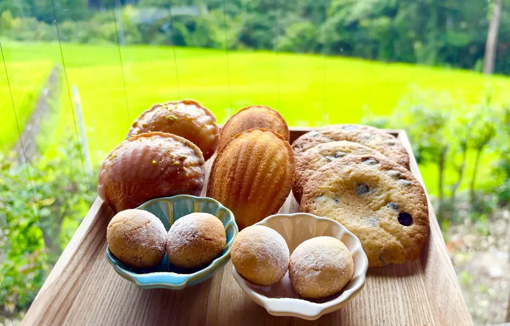 【12/19～12/21】津野町どっぷりイルミナイト2025を開催！ 画像 19