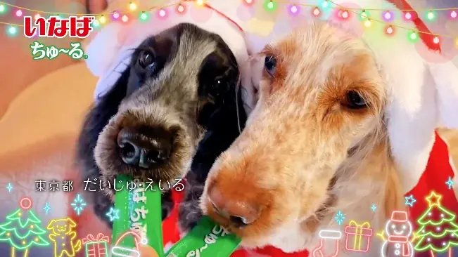 Wanちゅ～る クリスマス篇