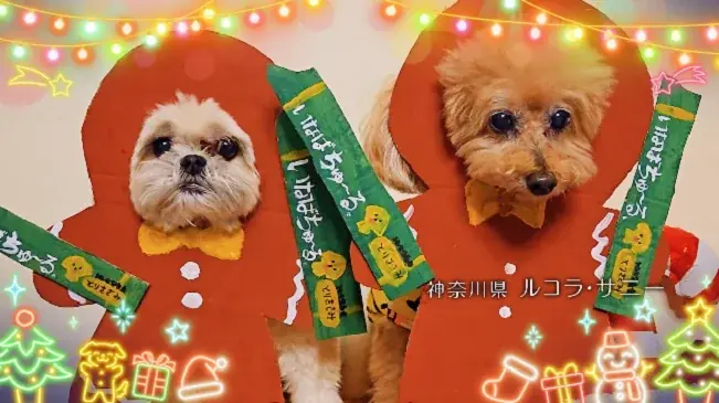 いなばペットフード　全国のわんちゃんが登場！「ちゅ～る」クリスマスTVCM動画を公開 画像 4