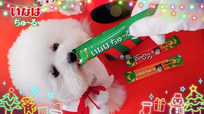 いなばペットフード　全国のわんちゃんが登場！「ちゅ～る」クリスマスTVCM動画を公開 画像 6