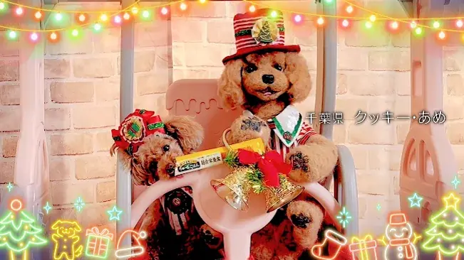 いなばペットフード　全国のわんちゃんが登場！「ちゅ～る」クリスマスTVCM動画を公開 画像 9