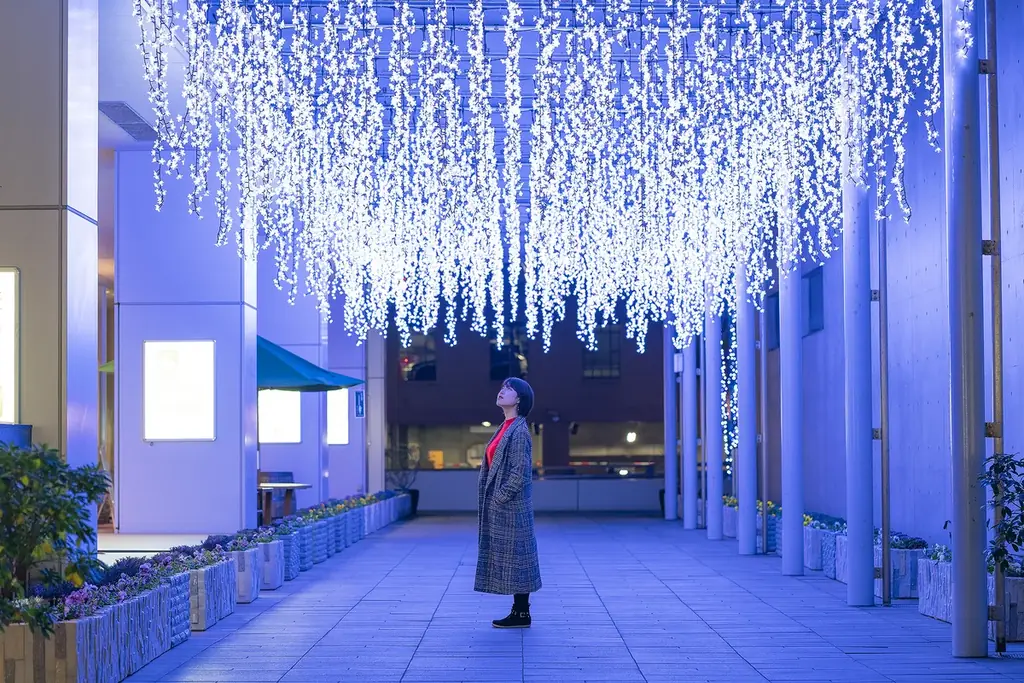 【秋田の冬を楽しみ尽くそう！】なかいちウインターパーク開催 画像 2