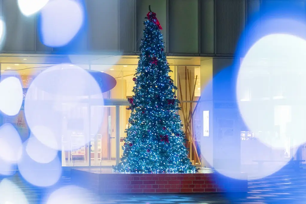 【秋田の冬を楽しみ尽くそう！】なかいちウインターパーク開催 画像 3